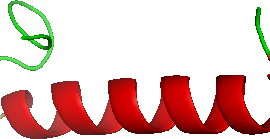 Calcitonin, Cancer Marker
