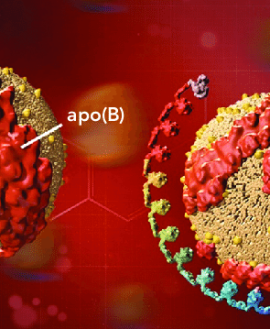 Low Density Lipoprotein Cholesterol (Direct) - LDL (Direct)