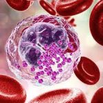 Absolute Basophil Count