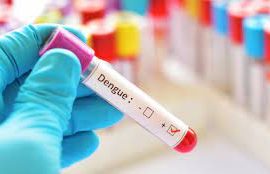 Dengue Profile(IgG, IgM,NS1 Antigen)