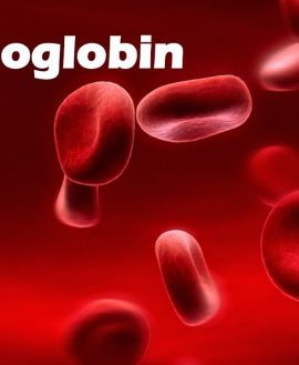 Haemoglobin (Hb)