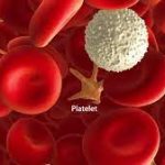 Platelet Count