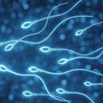 Semen Analysis